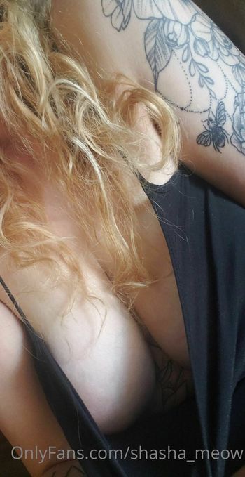 shasha_meow