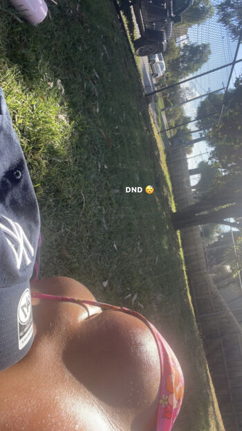 Sibel T