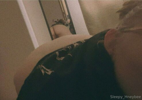 sleepy_hneybee