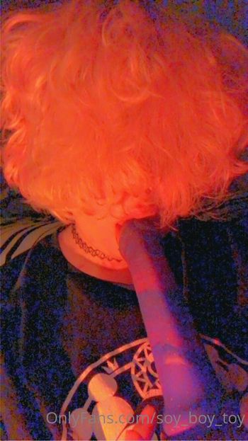 soy_boy_toy