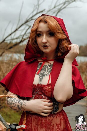 Starrybunny