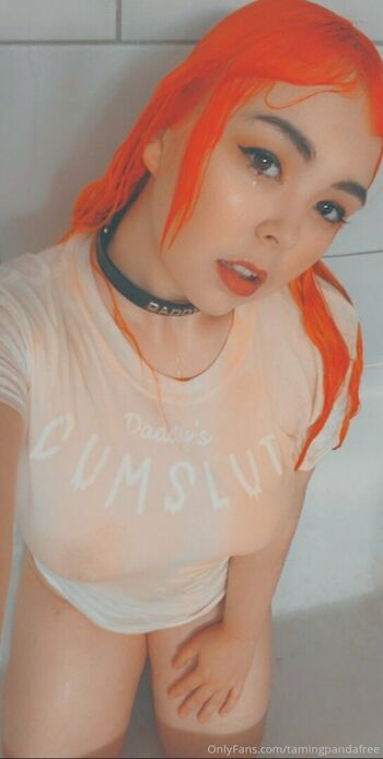 tamingpandafree