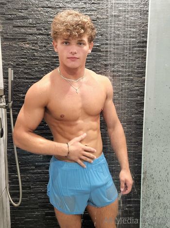 taylorsfree