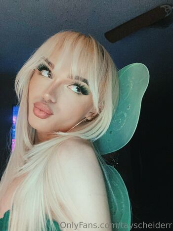 tayscheiderr