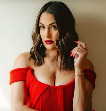The Bella Twins