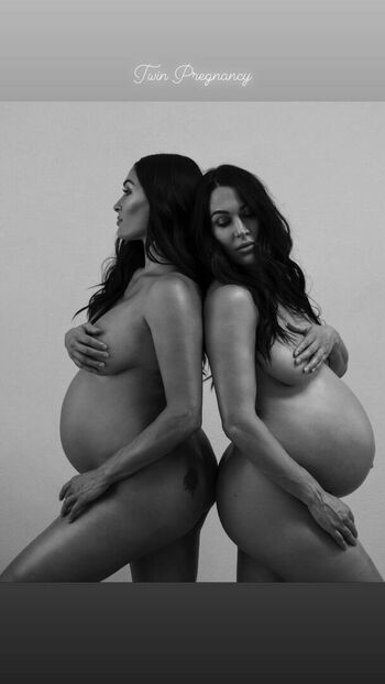 The Bella Twins