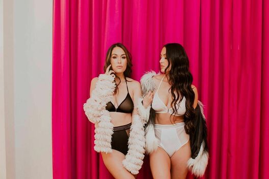 The Bella Twins