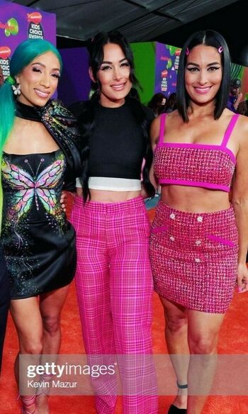 The Bella Twins