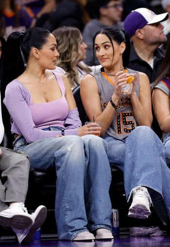 The Bella Twins