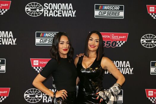 The Bella Twins