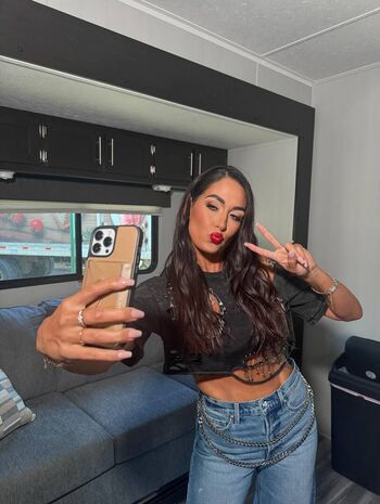 The Bella Twins