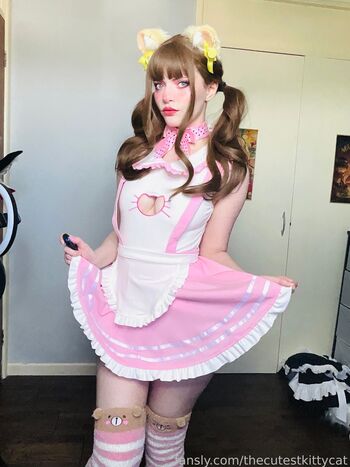thecutestkittycat