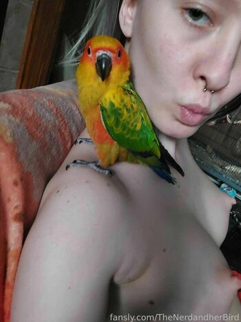 TheNerdandherBird
