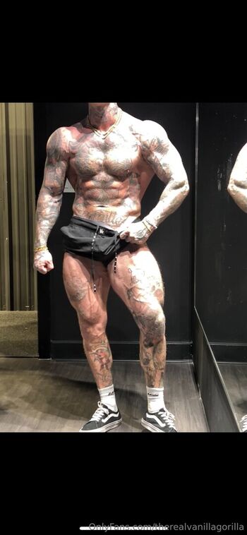 therealvanillagorilla
