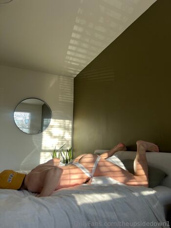 theupsidedown1