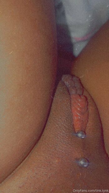 tink.tynk