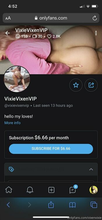 vixenvixie