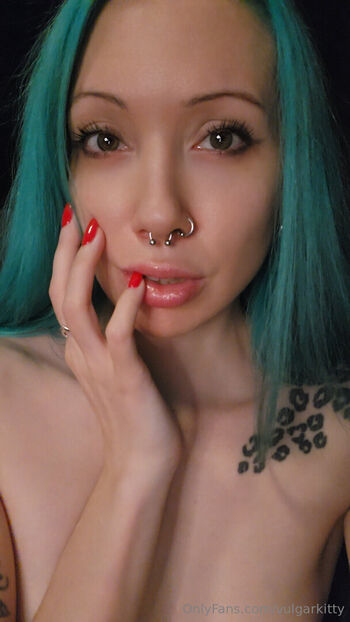 vulgarkitty