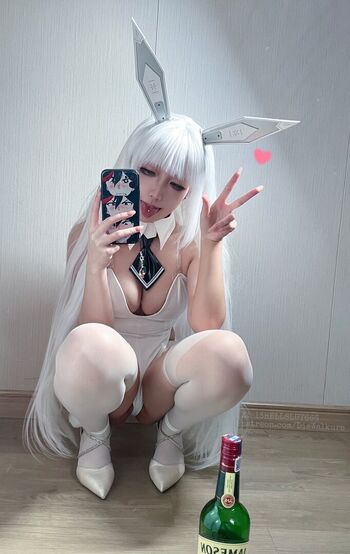 絞肉姬Walküre