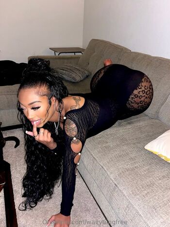 wavytiingfree
