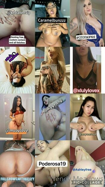 wendymeadowssc2