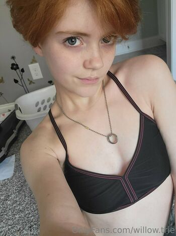 Willow.trie