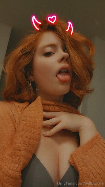 Willow.trie