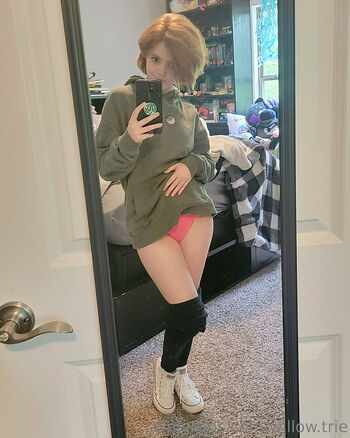 Willow.trie