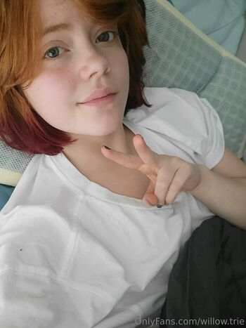 Willow.trie