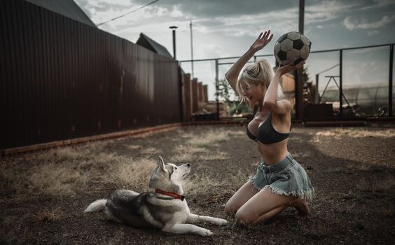 Wolffix