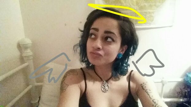 xxxchihuahua